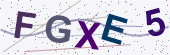 CAPTCHA verification image